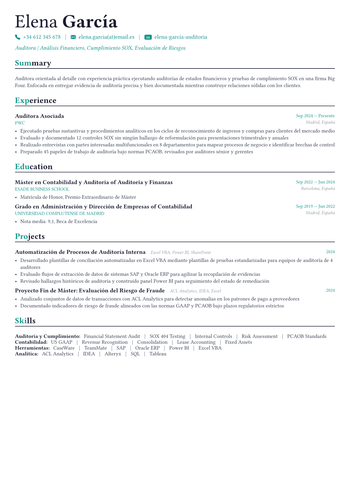 Auditor ejemplo de CV