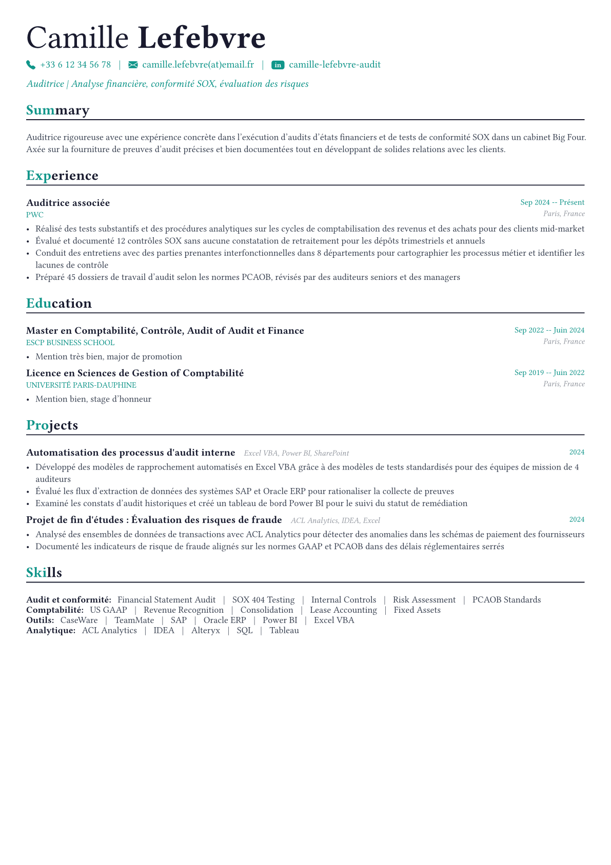 Auditor exemple de CV
