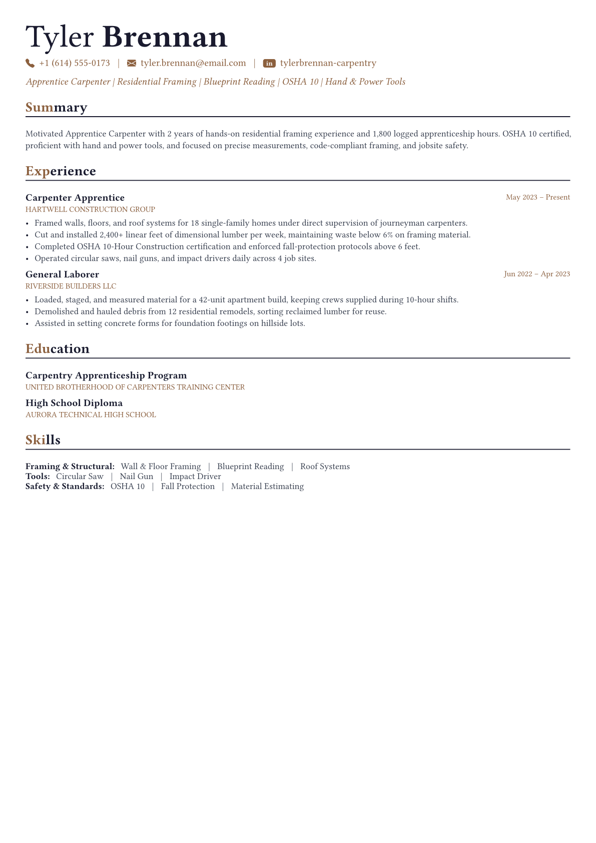 Carpenter resume example