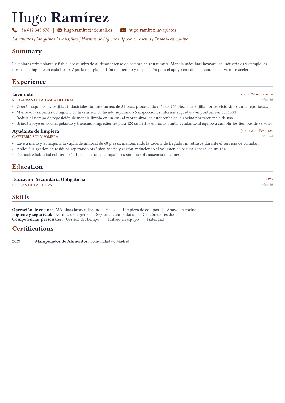 Lavaplatos ejemplo de CV