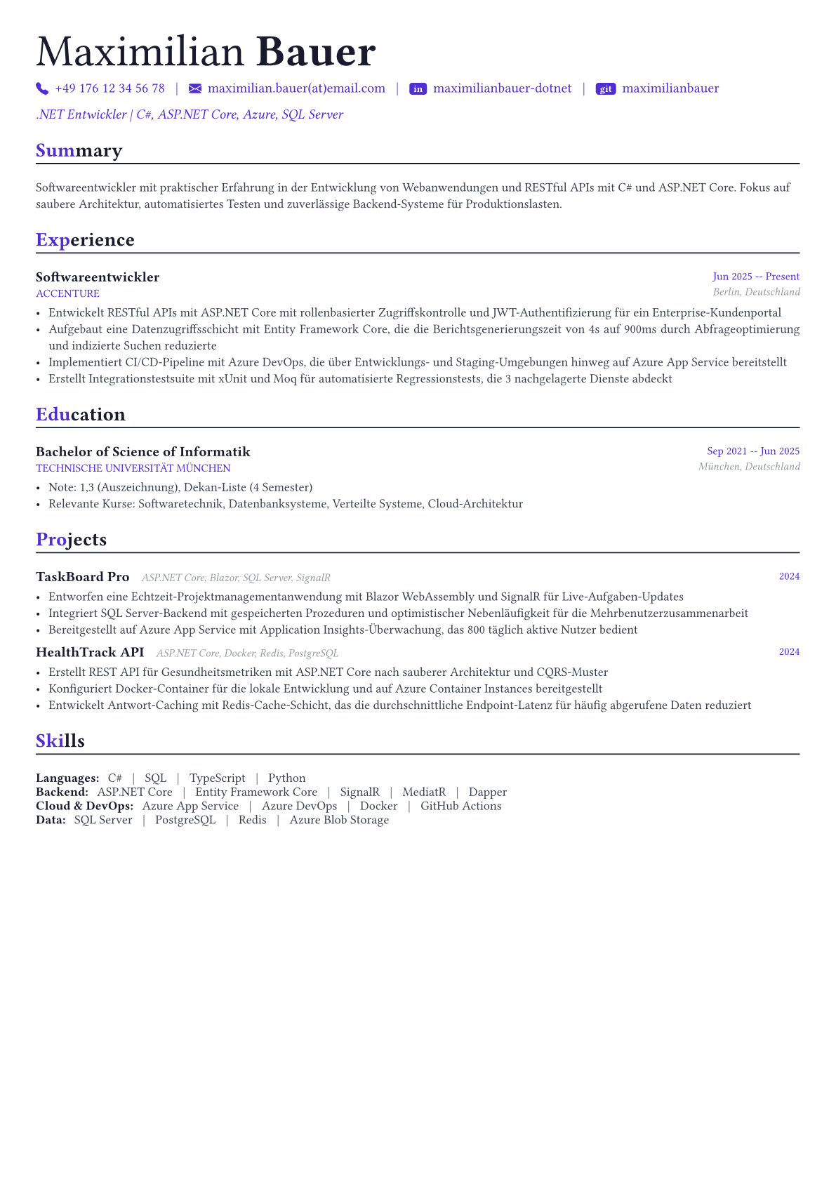 .NET Developer Lebenslauf-Beispiel