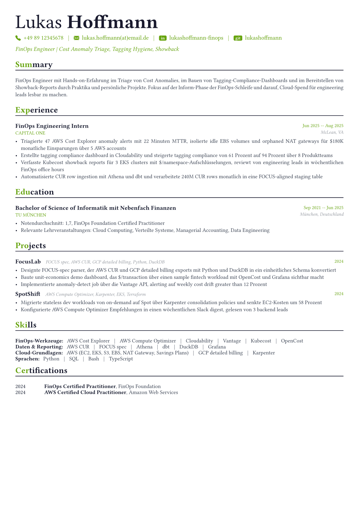FinOps Engineer Lebenslauf-Beispiel