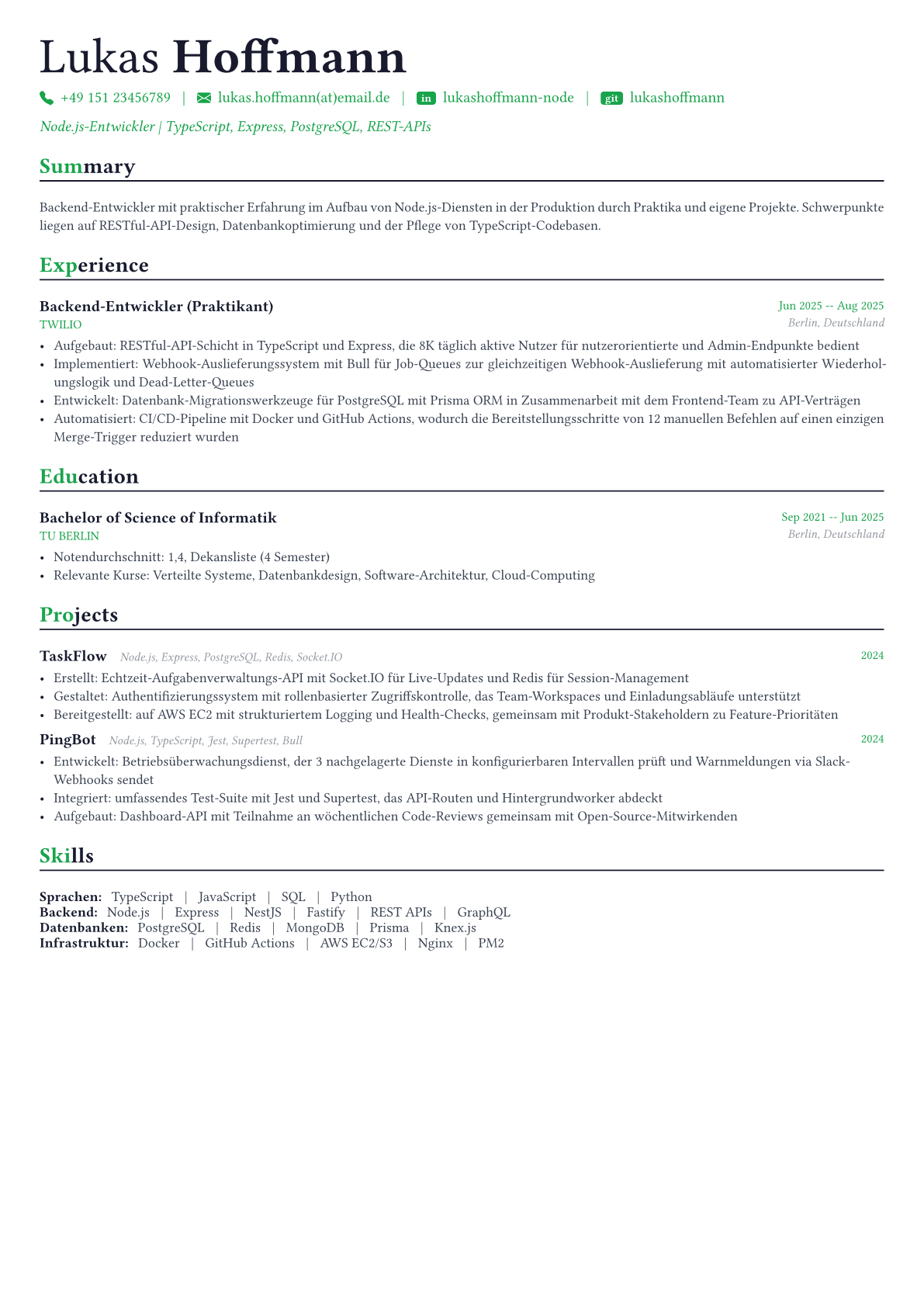 Node.js Developer Lebenslauf-Beispiel