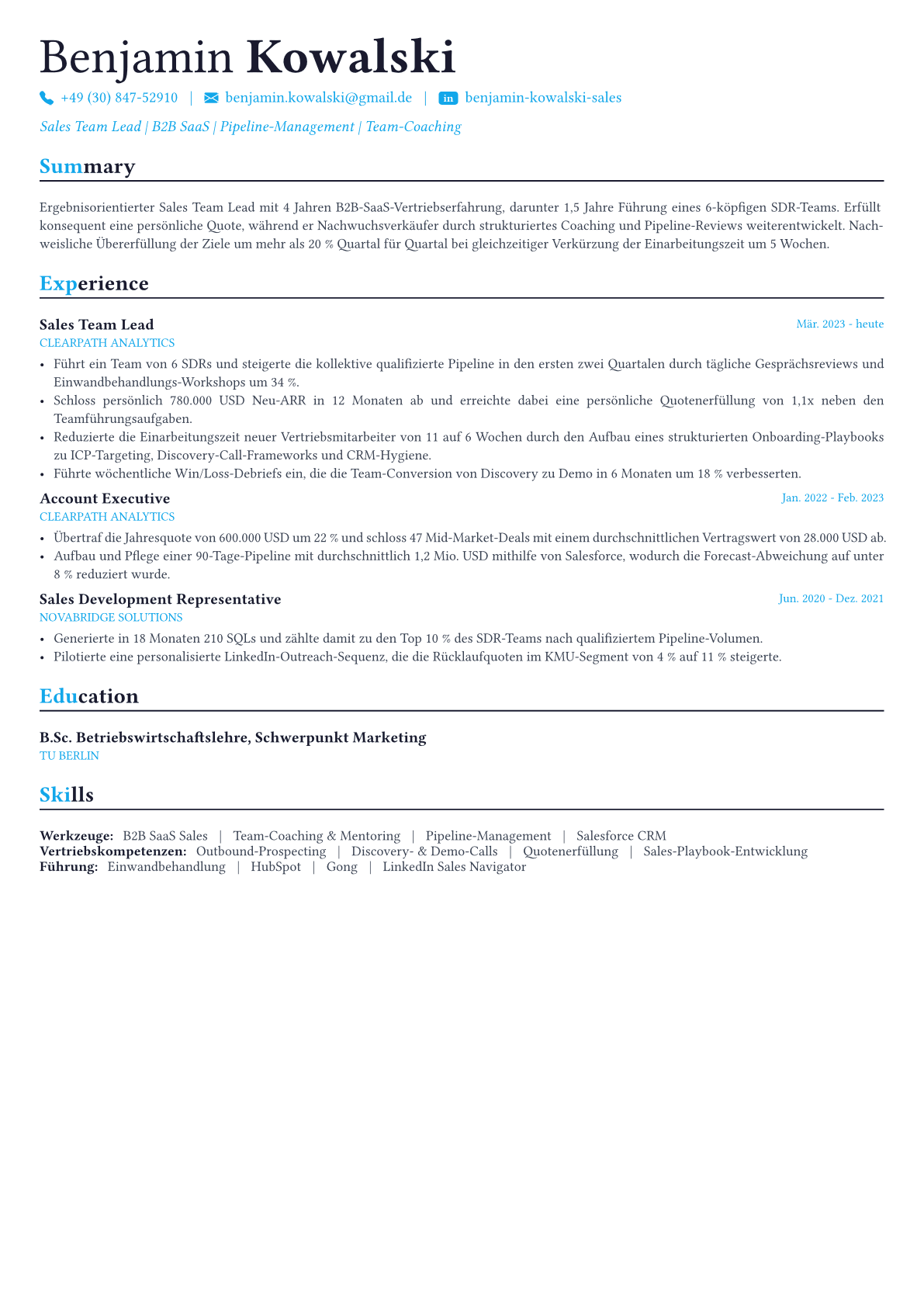 Sales Manager Lebenslauf-Beispiel