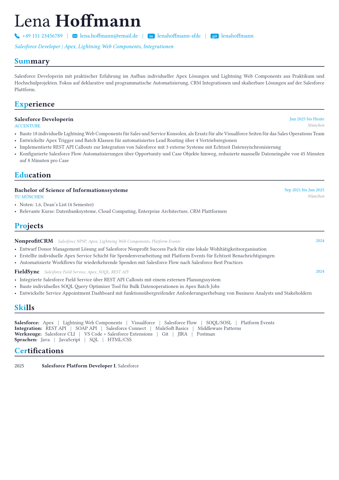 Salesforce Developer Lebenslauf-Beispiel